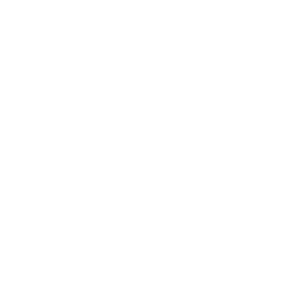 Black Lagoon Surf Co.